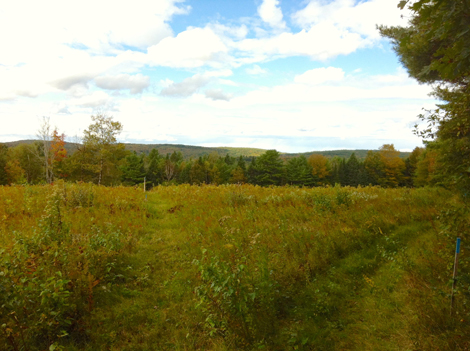 where two trails diverge