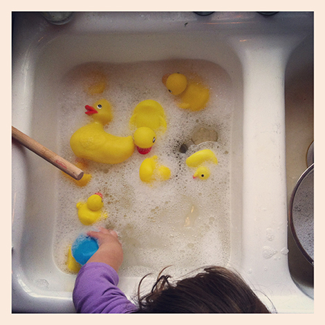 duck wash