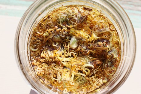 calendula_oil