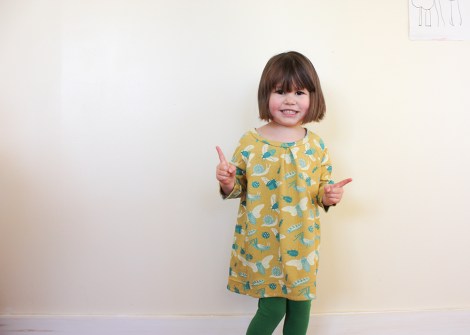 raglan sleeve dress by hamster and the bee