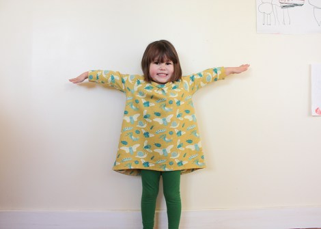 raglan sleeve dress by hamster and the bee