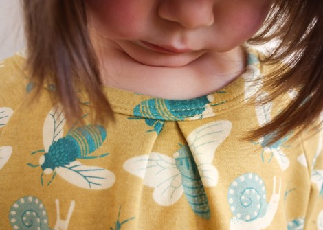raglan sleeve dress by hamster and the bee