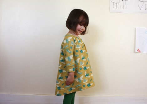 raglan sleeve dress by hamster and the bee